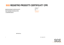 SGS Training Course Program Template (Word document)