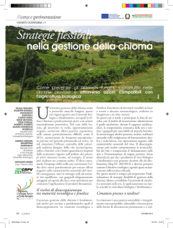 Vigneto sostenibile/1 - Agricoltura e pesca - Regione Emilia