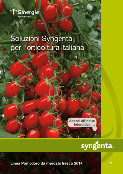 Pomodoro da mercato fresco