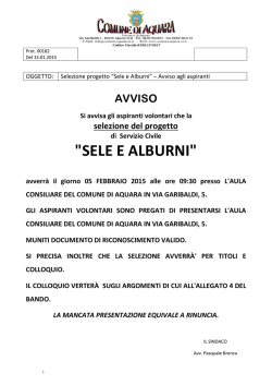"SELE E ALBURNI"