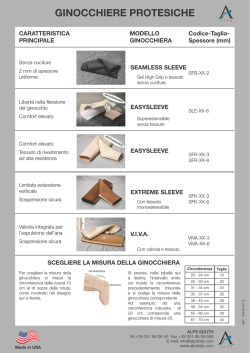 Programma Ginocchiere