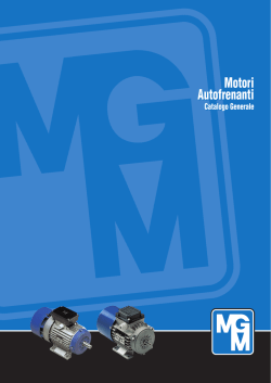 Motori Autofrenanti Motori Autofrenanti