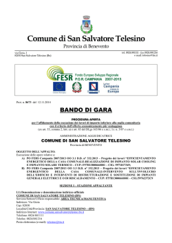 Bando EFFICIENTAMENTO ENERGETICO 2014