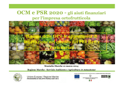 Ricerche filosofiche