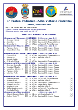 pannello 100x140_6 rimini.pdf