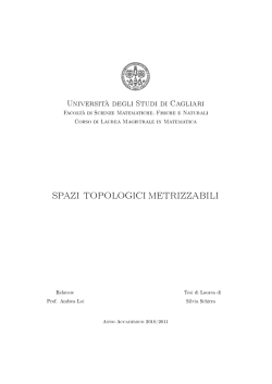 Semi soia tostati non disoleati - 135