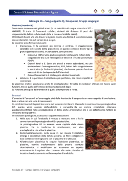 Istologia 16 &ndash; Sangue (parte 3), Emopoiesi, Gruppi sanguigni