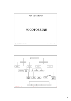 R03. Micotossine - Scienze Ambientali a Ravenna