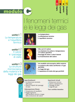 I fenomeni termici e le leggi dei gas