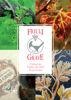 Consorzio Tutela Vini DOC Friuli Grave