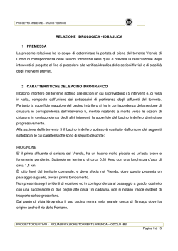 RELAZIONE IDROLOGICA - IDRAULICA 1