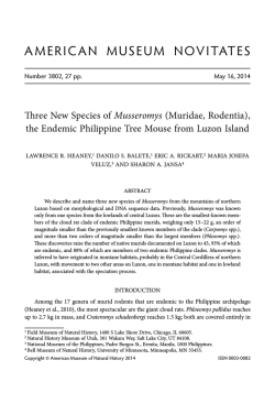 View/Open - AMNH DSpace Digital Repository