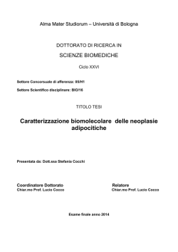 Documento PDF - AMS Tesi di Dottorato