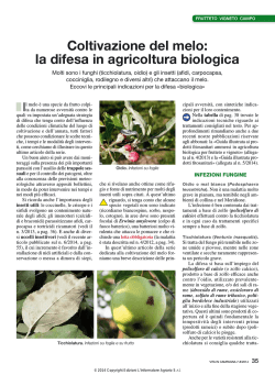 Coltivazione del melo_la difesa in agr