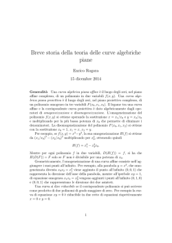 Breve storia della teoria delle curve algebriche piane