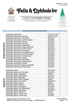 IT Offerta Ortensie 2014