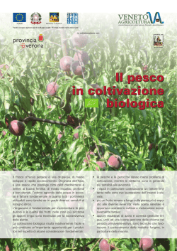 Il pesco in coltivazione biologica