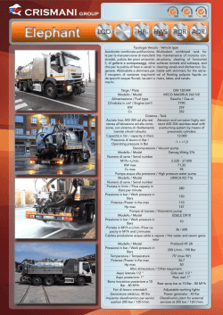 Elephant - Crismani Group