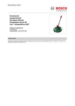 (terrazze) Deluxe (lunghezza lancia 40 cm) &ndash; Idropulitrice AQT