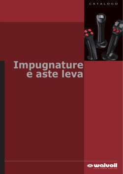 Impugnature e aste leva