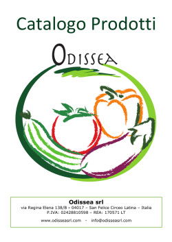 Catalogo Odissea in PDF