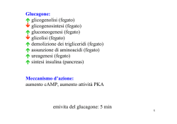Glucagone: ↑ glicogenolisi (fegato) ↓ glicogenosintesi (fegato