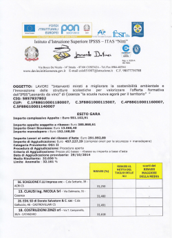 LAVORI IMG - "Da Vinci-Nitti"