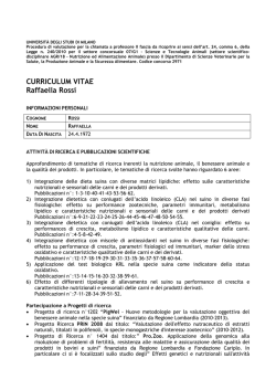 CURRICULUM VITAE Raffaella Rossi