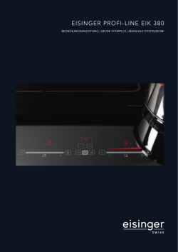 EisingEr Profi-LinE EiK 380