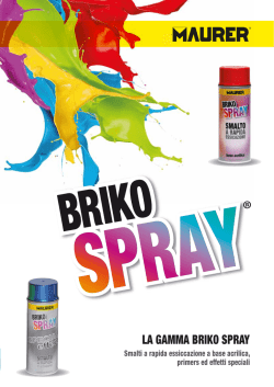 Briko Spray - Maurer