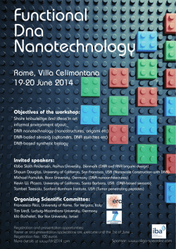 Announcement - Functional DNA Nanotechnology Workshop