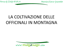 LA COLTIVAZIONE DELLE OFFICINALI IN MONTAGNA