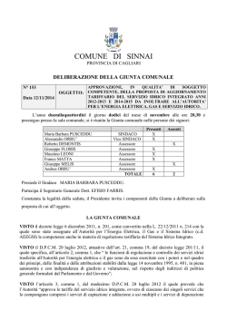 COMUNE DI SINNAI