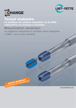 Taraud modulaire Maschiatori modulari