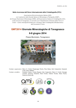 (TO) 6-8 giugno 2014