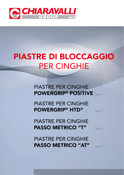 PIASTRE DI BLOCCAGGIO PER CINGHIE