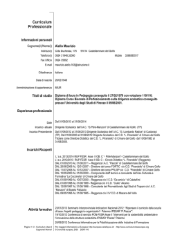 Curriculum vitae - Castellammare del Golfo