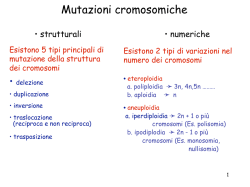 C9 Mutazioni Cromos Cariotipi Patol NET - e