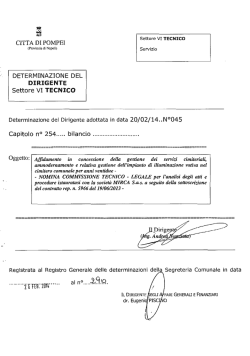 n 045 del 20/02/2014 R.G. n. 290 del 26/02/2014