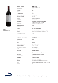 SCHEDA TECNICA TECHNICAL CARD OF WINE LAUREO I.G.T.