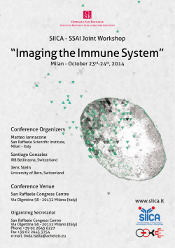“Imaging the Immune System”