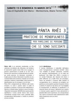 P&Aacute;NTA RH&Ecirc;I 3