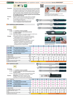 Scheda tecnica - pagina catalogo (PDF)