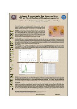 Sviluppo di una metodica Sybr-Green real time