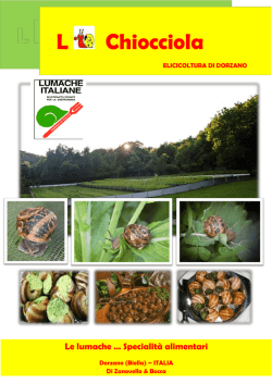 catalogo - Elicicoltura di Dorzano