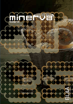 catalogo minerva