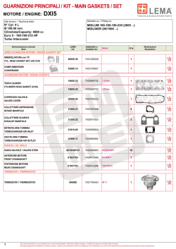 GUARNIZIONI PRINCIPALI / KIT - MAIN GASKETS / SET