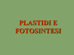 PLASTIDI E FOTOSINTESI