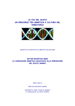 BITTER RECEPTOR GENE