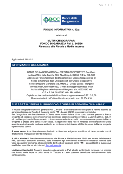 13a MUTUO CHIROGRAFARIO FONDO DI GARANZIA PMI